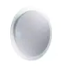Ledvance LED Bulkhead Orbis Sparkle 460 24W 2600lm 827-865 Tunable White | CCT - Remote Control